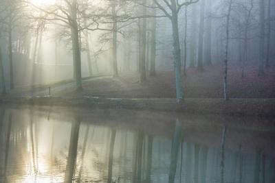 Premium Photographic Print, , small