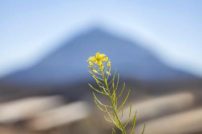 Photographic Print, , small