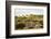 Italy, Riserva Naturale di Massaciuccoli San Rossore, protected coastal forest in Tuscany.-Michele Molinari-Framed Photographic Print