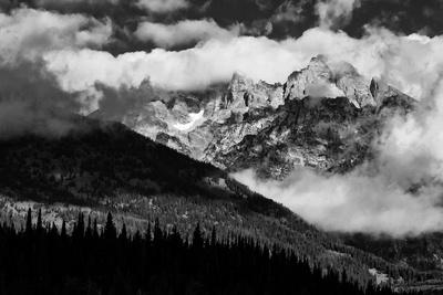 Premium Photographic Print, , small