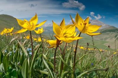 Premium Photographic Print, , small