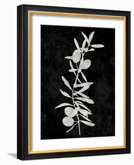 Nature White on Black IV-Danielle Carson-Framed Art Print