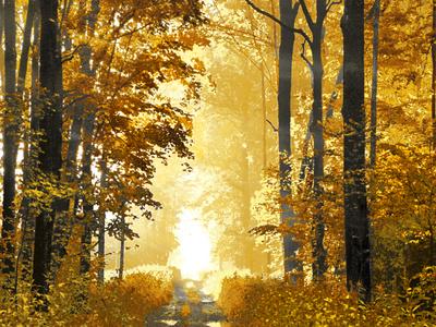 Premium Giclee Print, , small