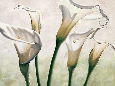 Premium Giclee Print, , small