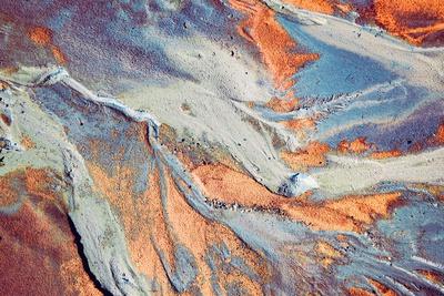 Premium Photographic Print, , small