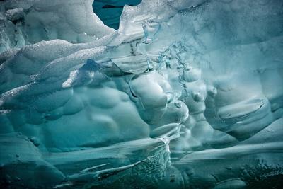 Premium Photographic Print, , small