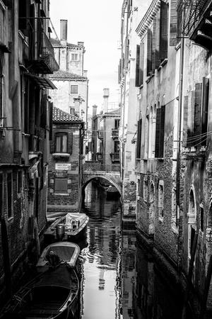 Premium Photographic Print, , small