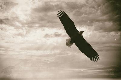 Premium Photographic Print, , small