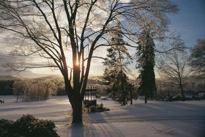 Premium Photographic Print, , small