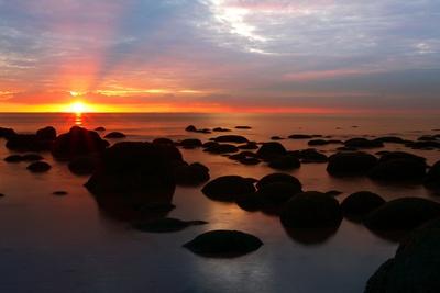 Premium Photographic Print, , small