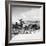 Donkey Cart, Aran Islands, Ireland, 1938 (B/W Photo)-null-Framed Giclee Print