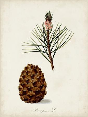 Premium Giclee Print, , small