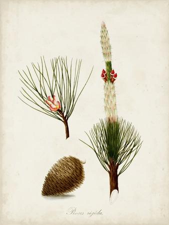 Premium Giclee Print, , small