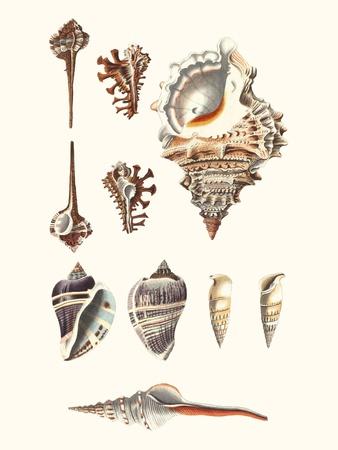 Premium Giclee Print, , small