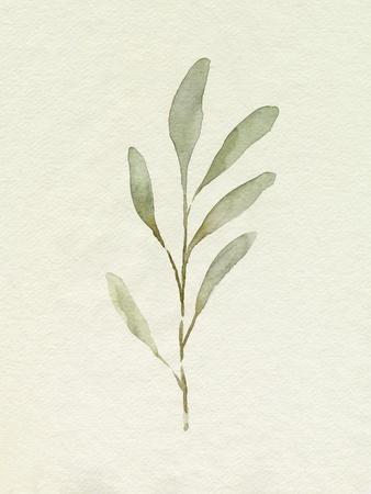 Premium Giclee Print, , small