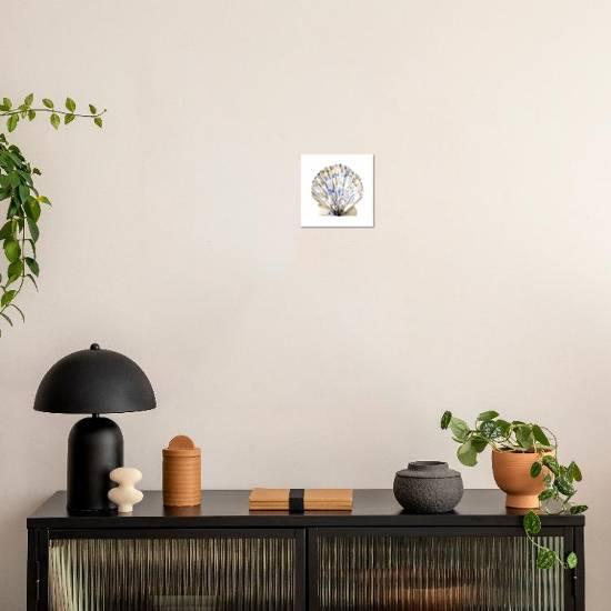 'Simple Shells I' Art Print - Emma Caroline | Art.com