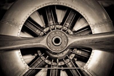 Premium Photographic Print, , small
