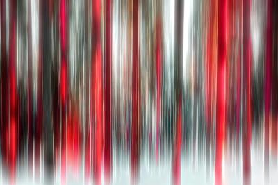 Premium Photographic Print, , small