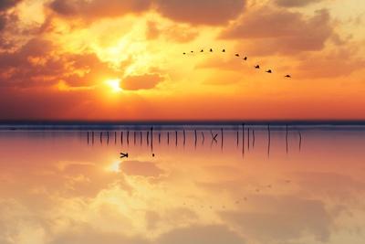 Premium Photographic Print, , small