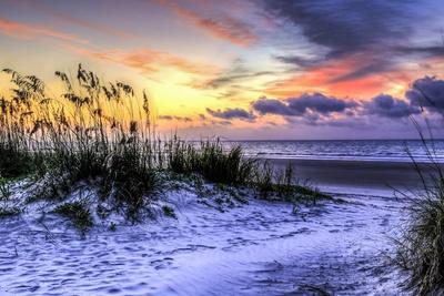 Premium Photographic Print, , small