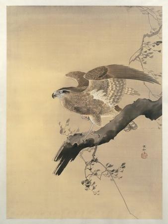 Premium Giclee Print, , small