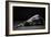 Bodyscape-Anton Belovodchenko-Framed Giclee Print