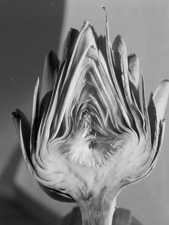 Photographic Print, , small