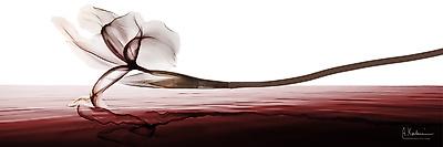 Premium Giclee Print, , small