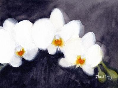 Premium Giclee Print, , small
