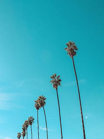 Premium Photographic Print, , small