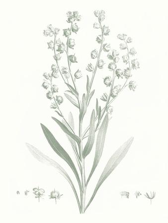 Premium Giclee Print, , small