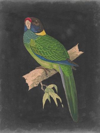 Premium Giclee Print, , small