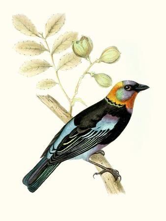Premium Giclee Print, , small