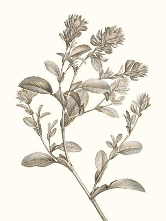 Premium Giclee Print, , small