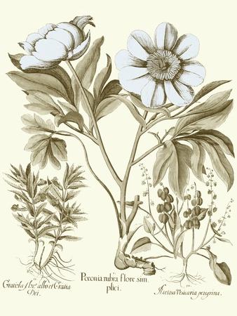 Premium Giclee Print, , small