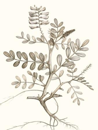 Premium Giclee Print, , small