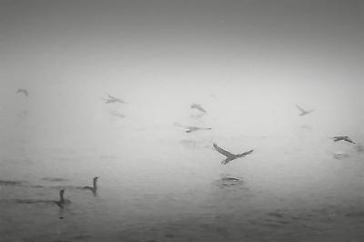 Premium Photographic Print, , small