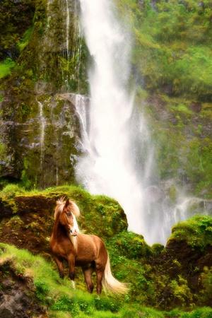 Premium Photographic Print, , small