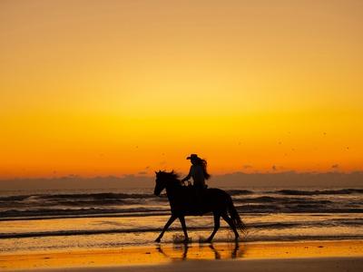 Photographic Print, , small