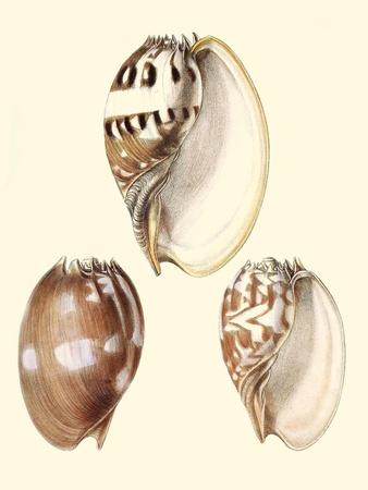 Premium Giclee Print, , small