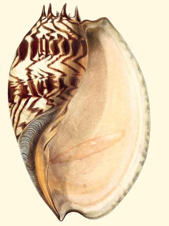 Premium Giclee Print, , small