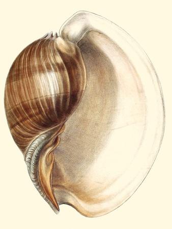 Premium Giclee Print, , small