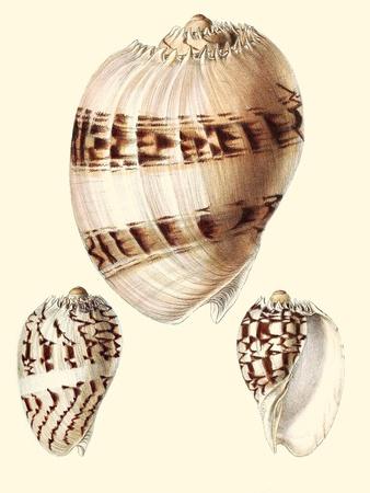 Premium Giclee Print, , small