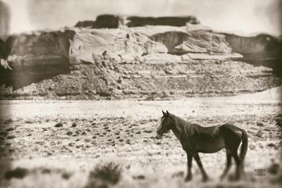 Photographic Print, , small