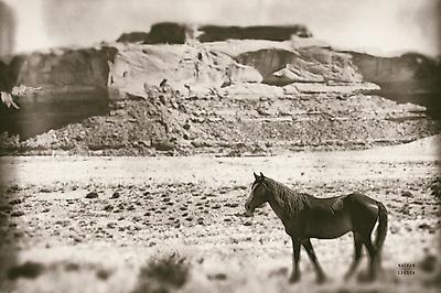Premium Photographic Print, , small