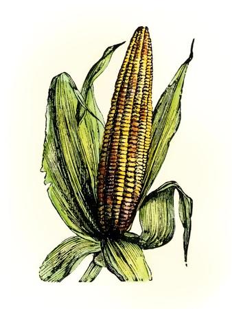 Premium Giclee Print, , small
