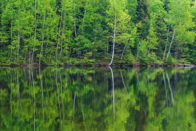 Premium Photographic Print, , small
