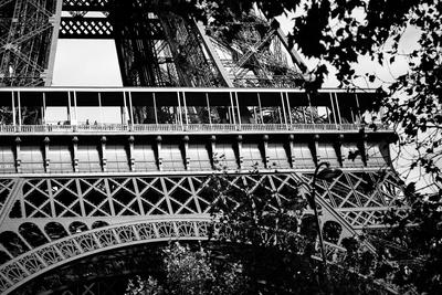 Premium Photographic Print, , small