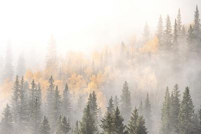 Premium Photographic Print, , small