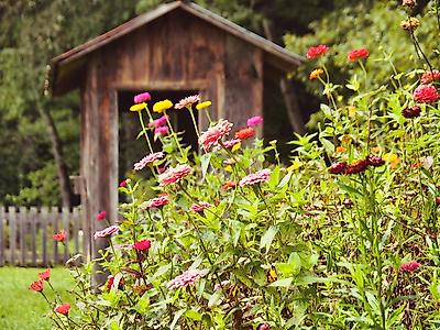 Premium Photographic Print, , small